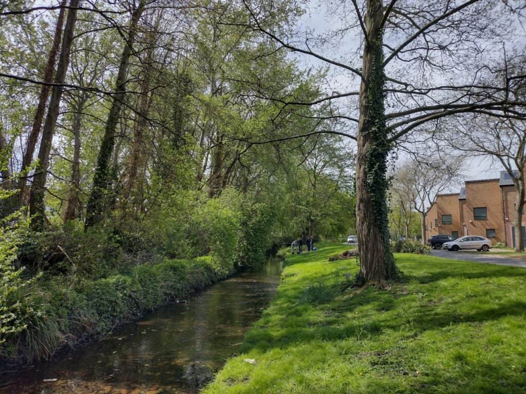 Existing view of the river at Richmond Green