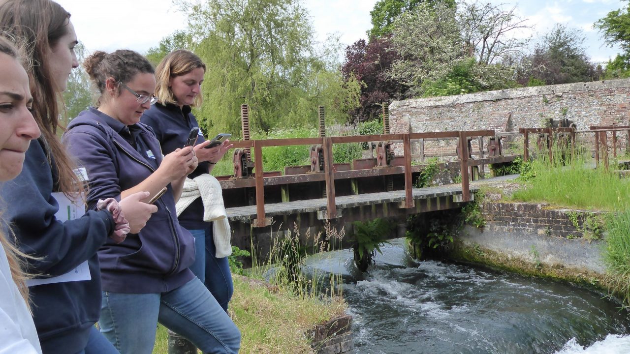 Thames Catchment Community Eels Project