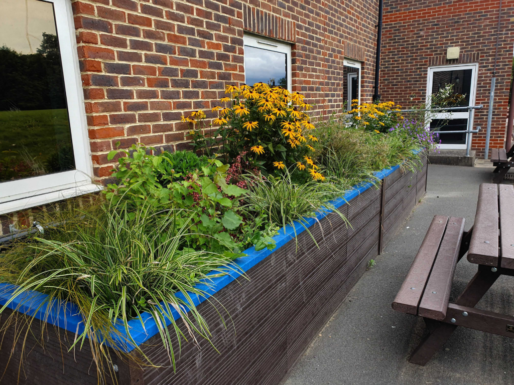 One of our planters in bloom