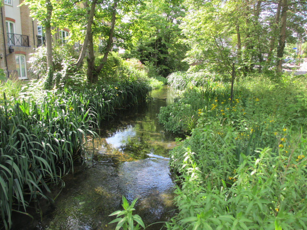 River Wandle: View 3 after