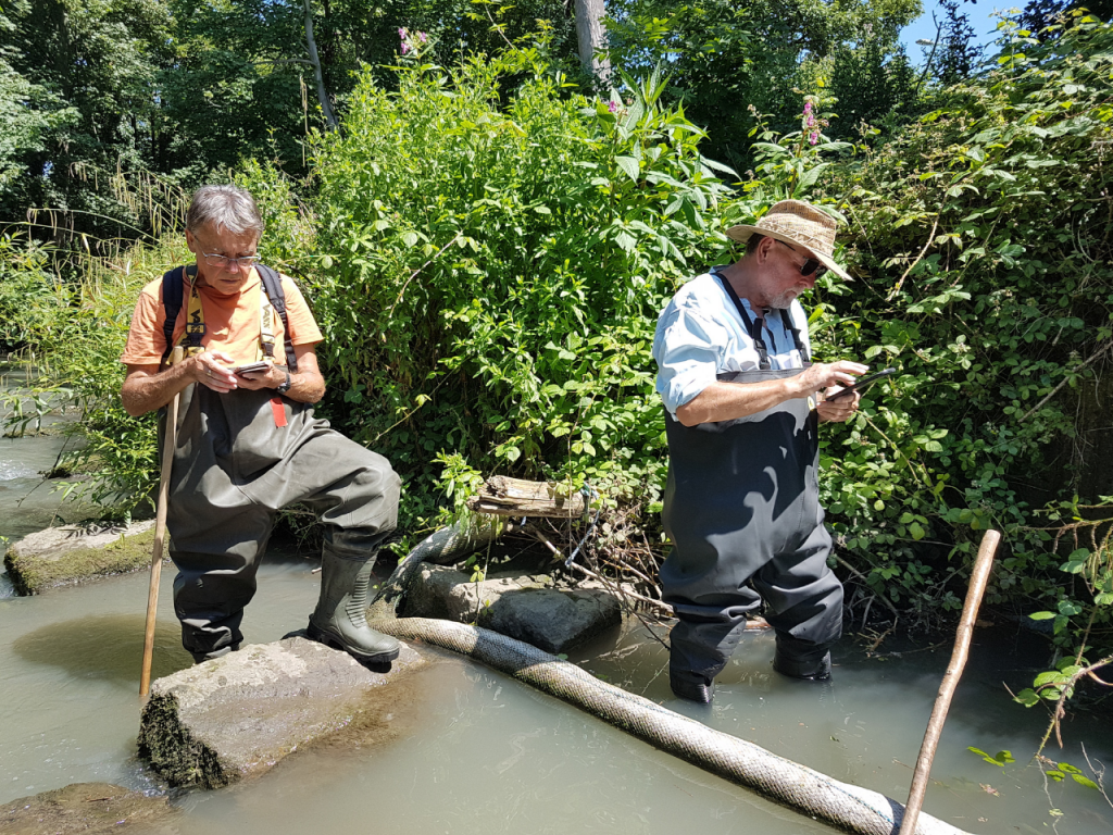 Volunteers completing an Outfall Safari