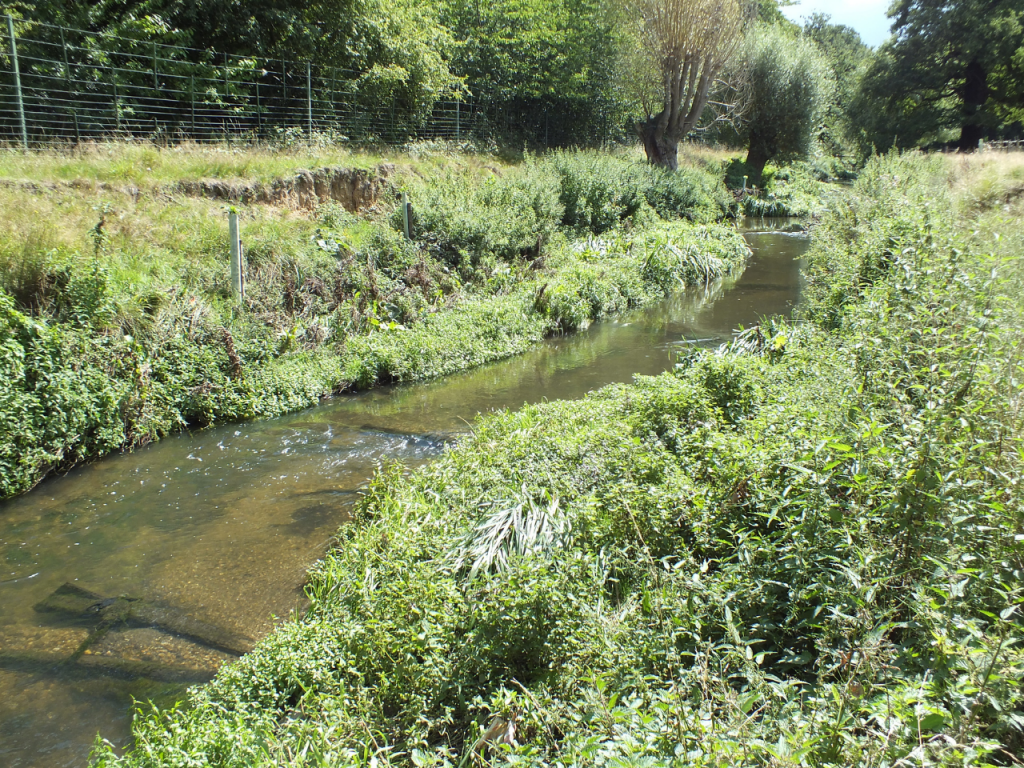 Beverley Brook Restoration: View 3, after