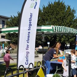 Engagement stall