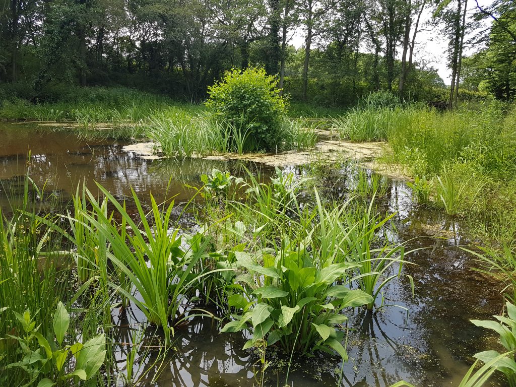 Kingsnoad Flood Storage