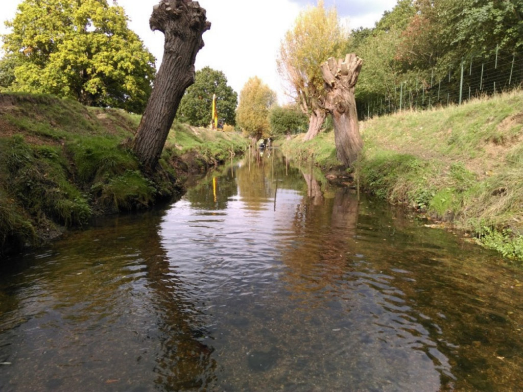 Beverley Brook Restoration: View 2, before