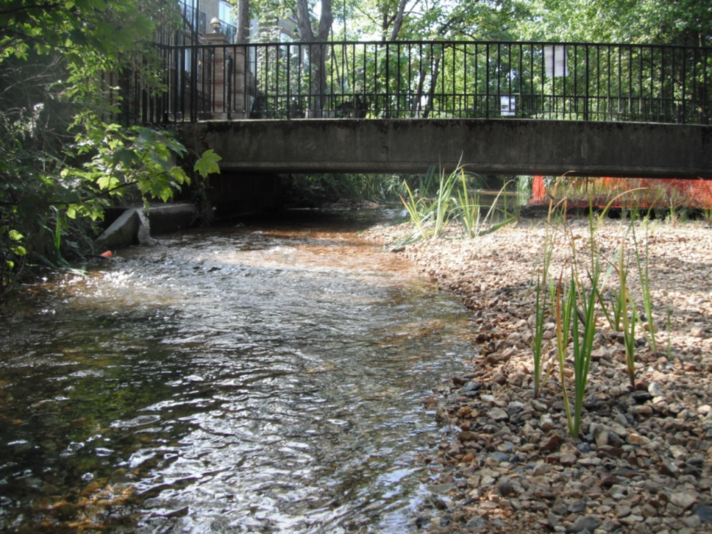 River Wandle: View 2 after