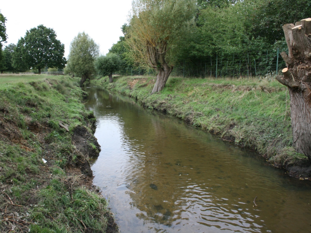 Beverley Brook Restoration: View 1, before