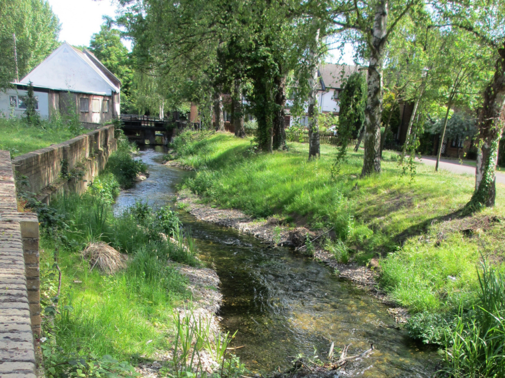 River Wandle: View 1 after