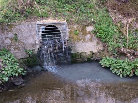 Volunteers needed for Outfall Safaris this spring