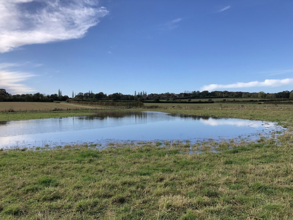 Sissinghurst Natural Flood Storage