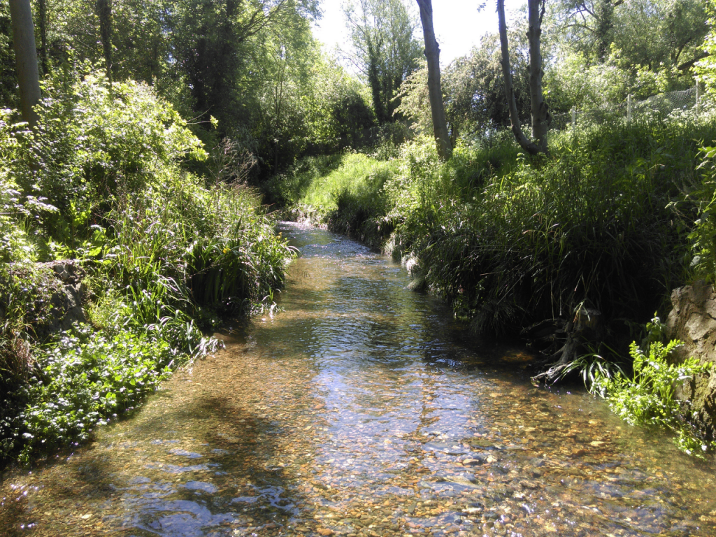 After: Weir on the Hogsmill