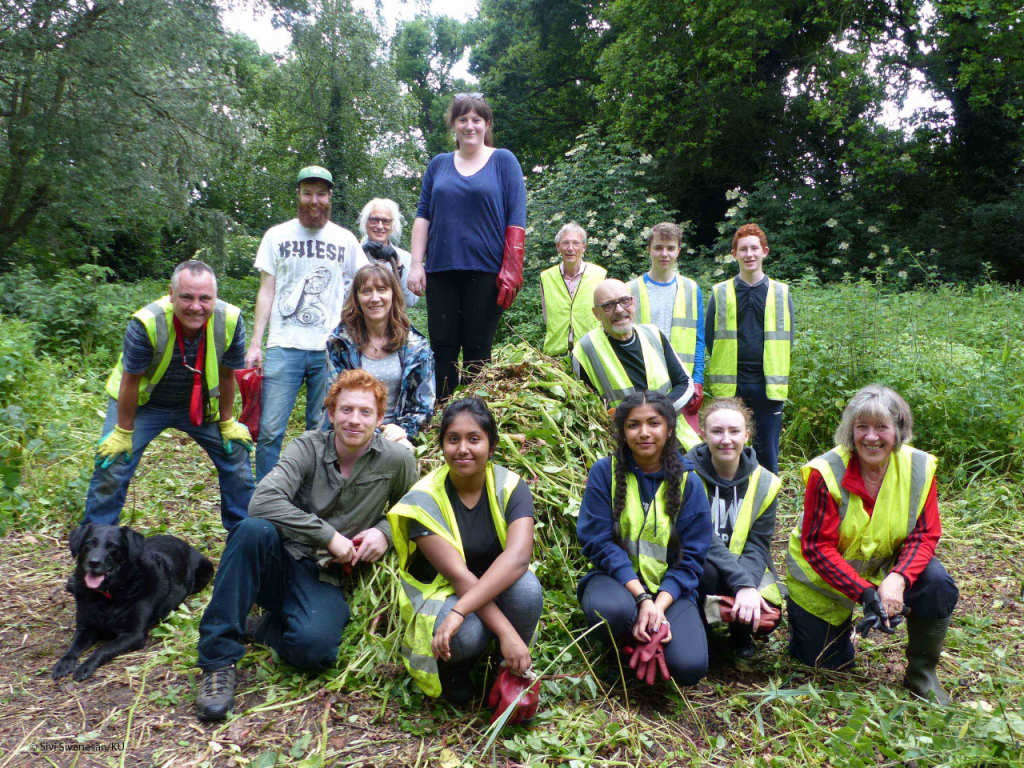 Volunteers at a Balsam Bash