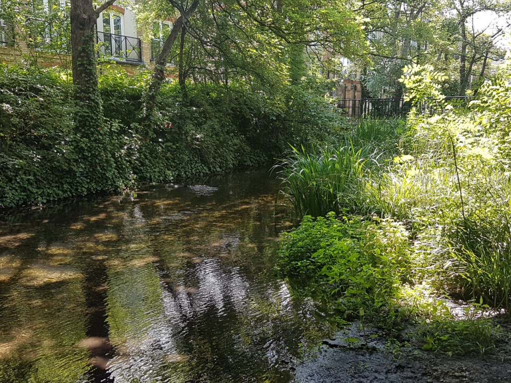 The River Wandle