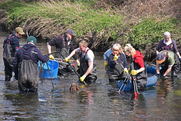 Goat Bridge river cleanup – River Wandle