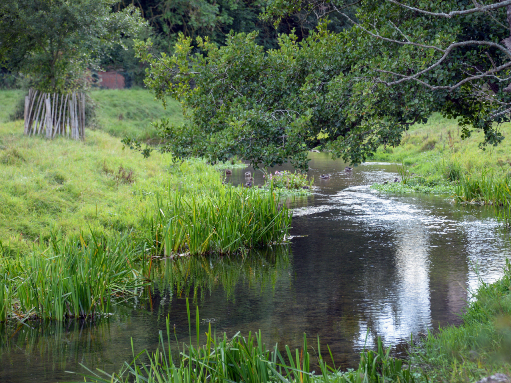 River Darent