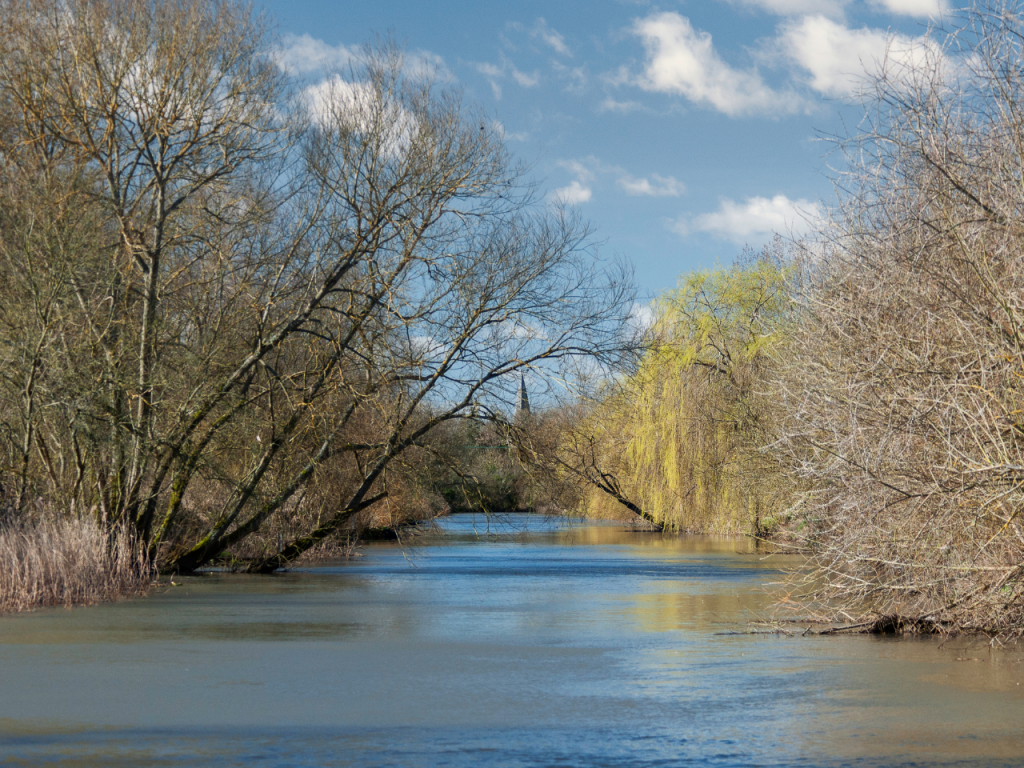 View down the R.Stour and Fordwich Church Steeple