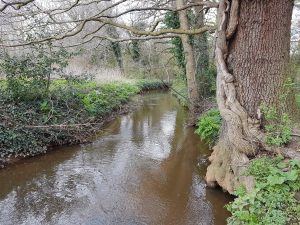 Emm Brook before restoration