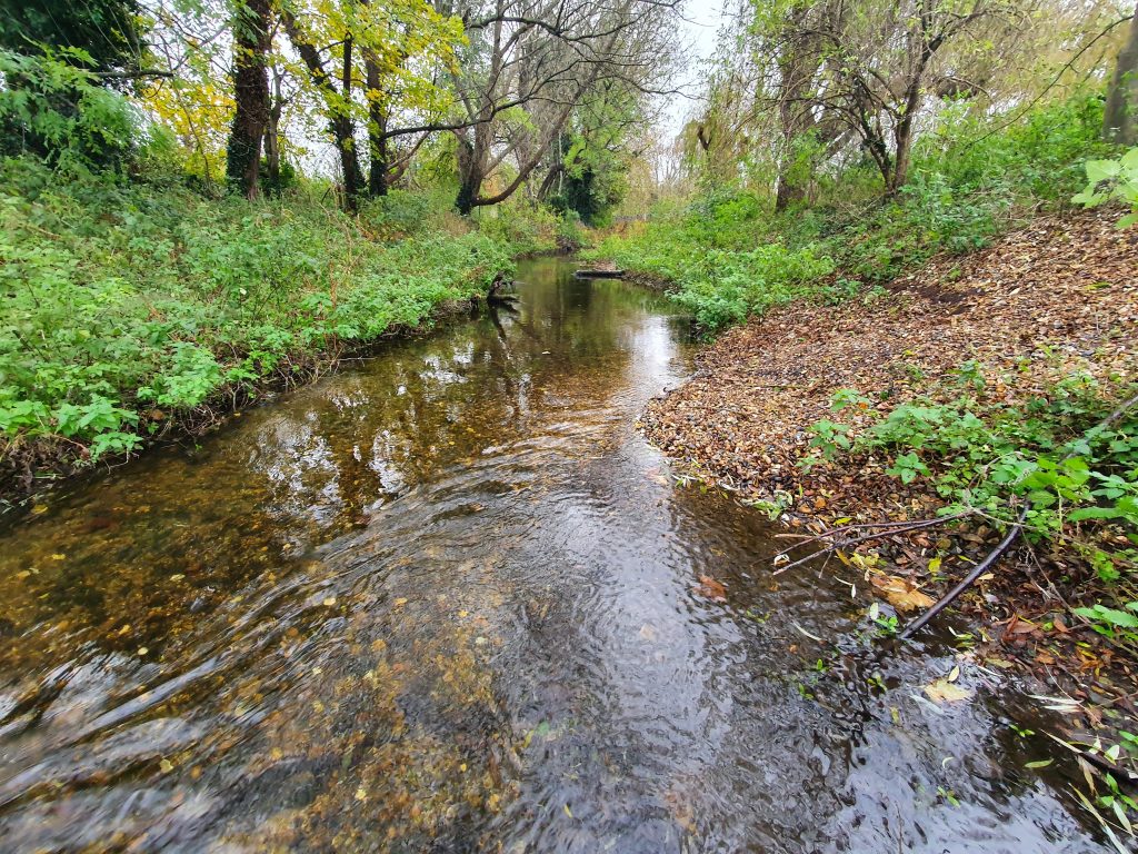 River Darent after restoration