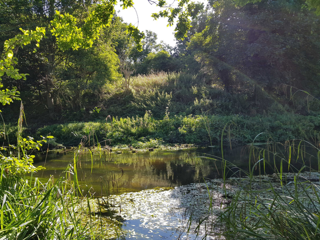 A view on the River Wandle