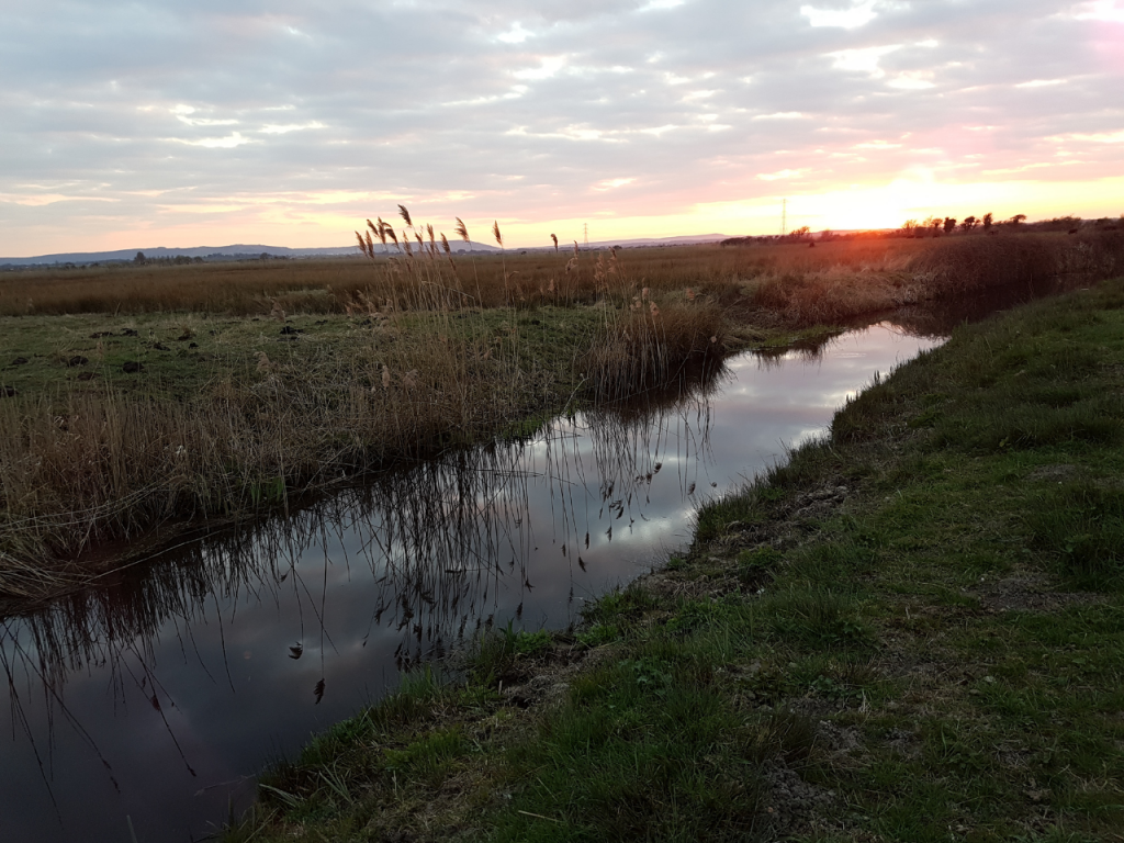 Cuckmere River