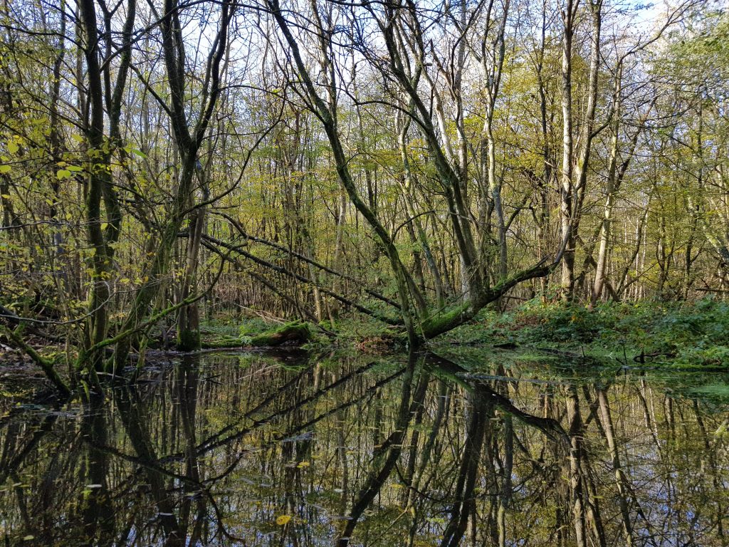 Water, water everywhere…or is it?