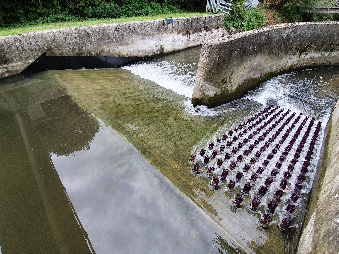 SERT on tour – delivering a fish passage project on the River Ock