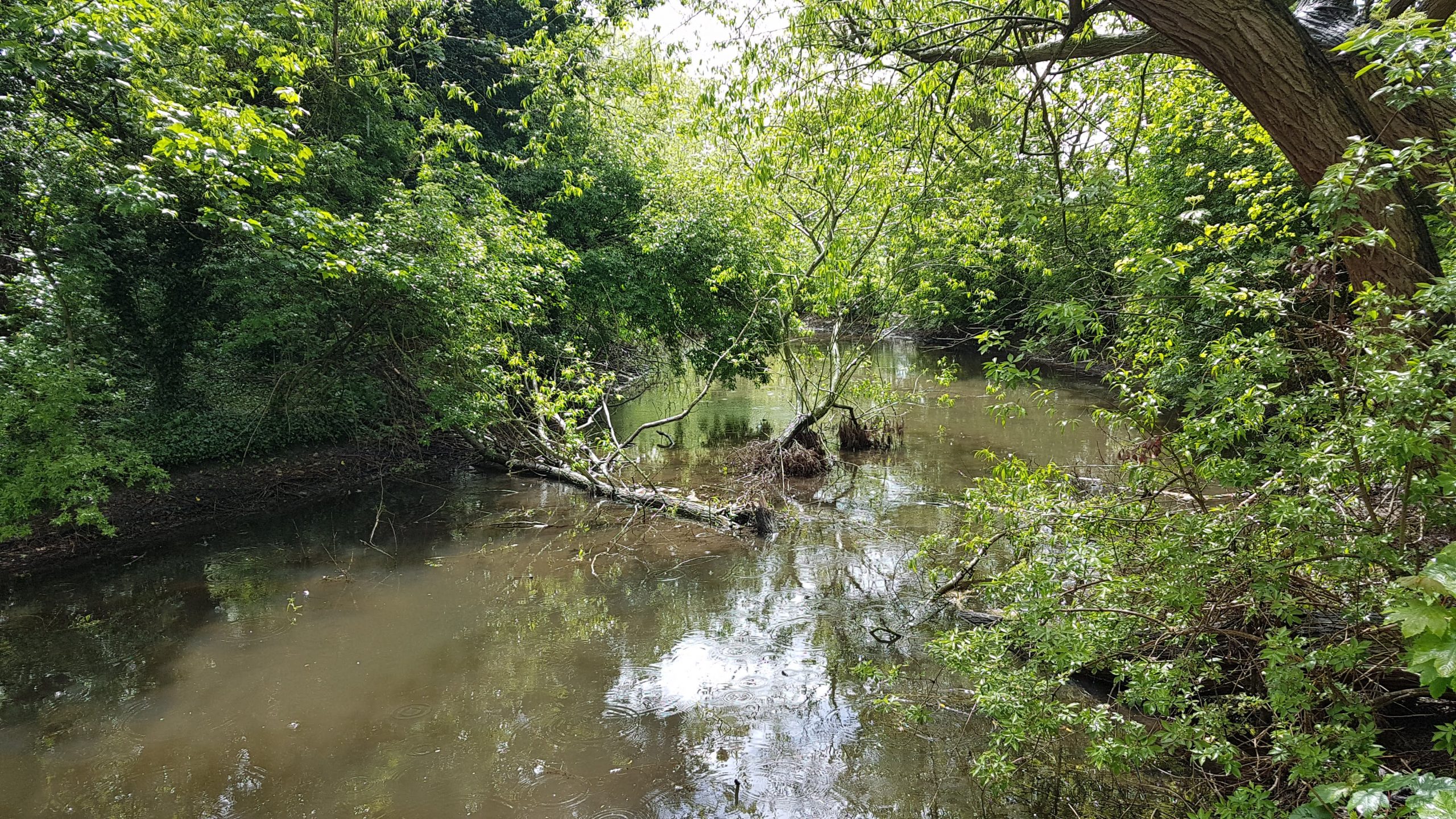 Acacia Hall – River Darent Restoration