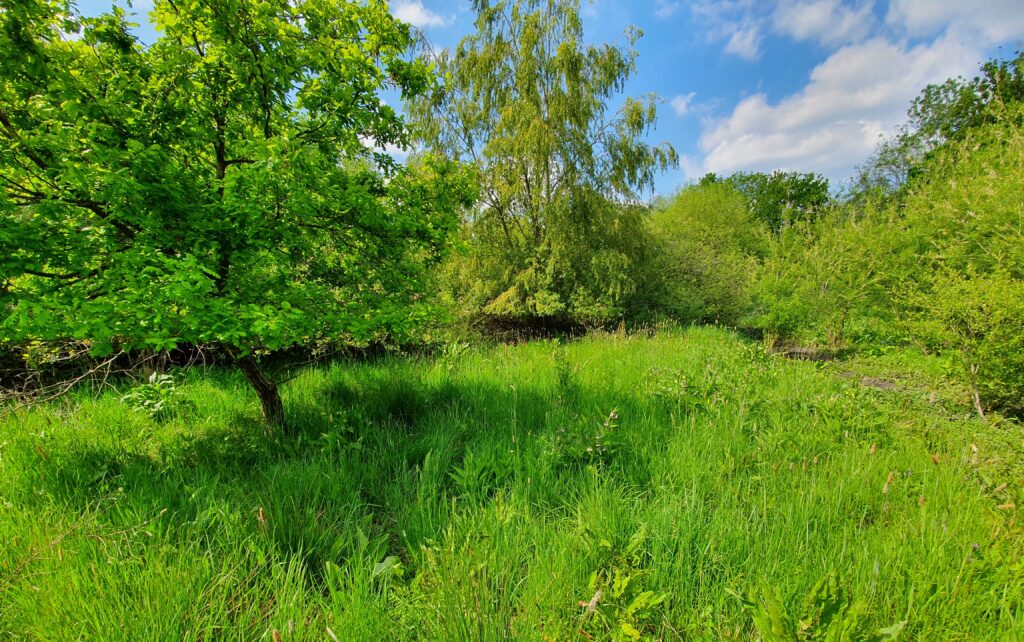 Making a difference during Loddon Rivers Week