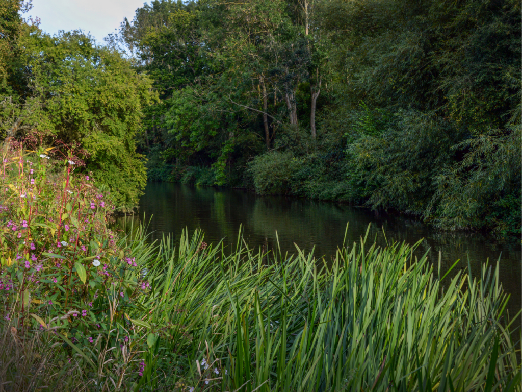 River Medway