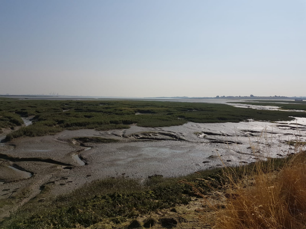 Medway Estuary