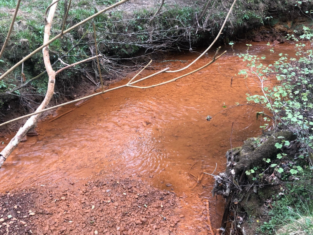 The Wealden Rivers - the iron-rich source of the River Medway