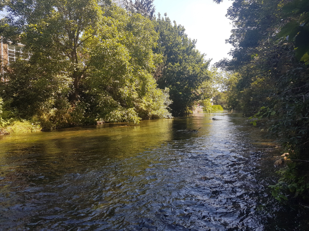 A view on the Hogsmill in Kingston Upon Thames