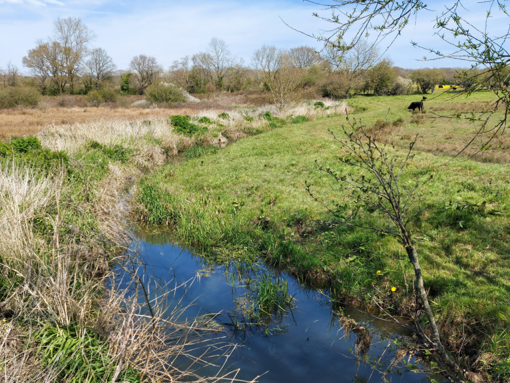 Combe Haven