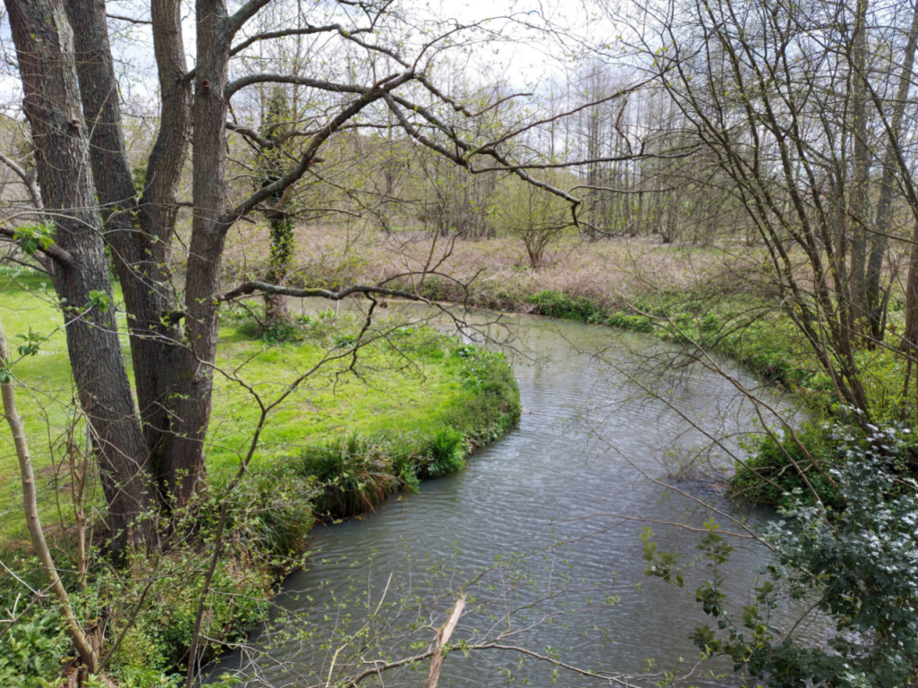 River Cuckmere