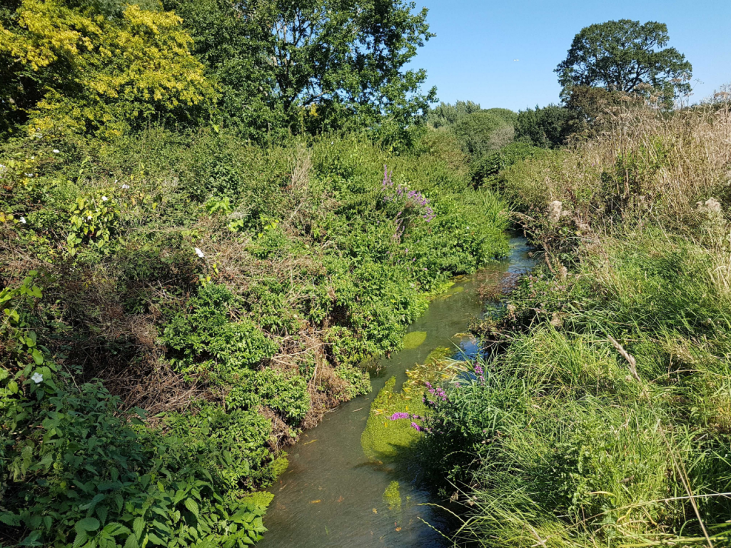 River Loddon