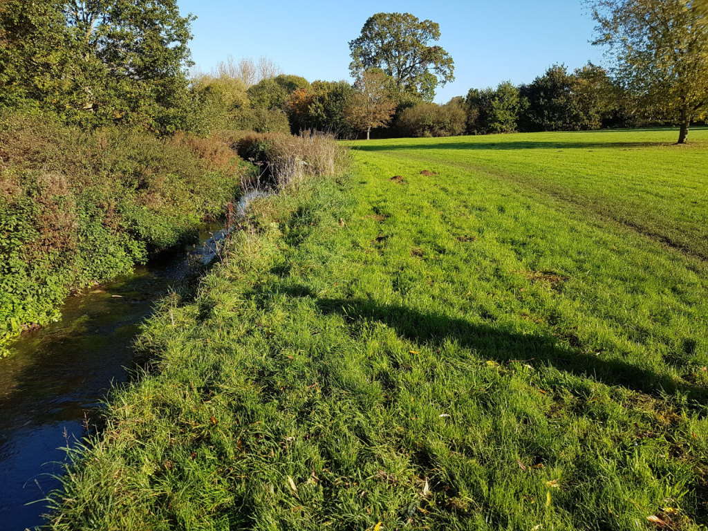 River Loddon - Emm Brook