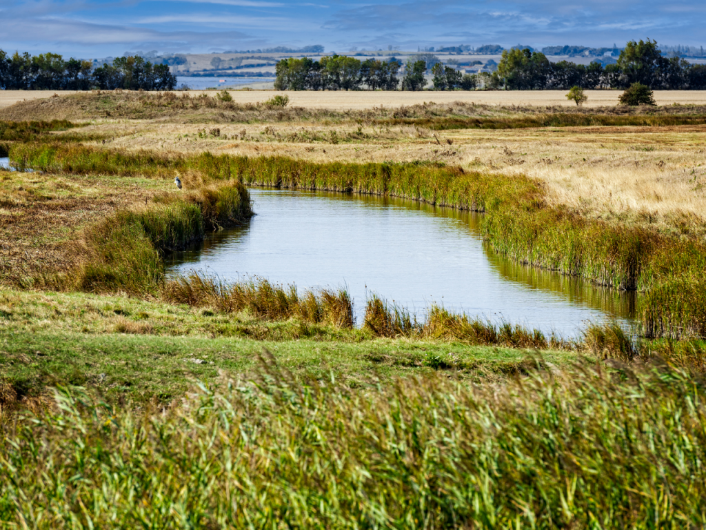 North Kent Marshes