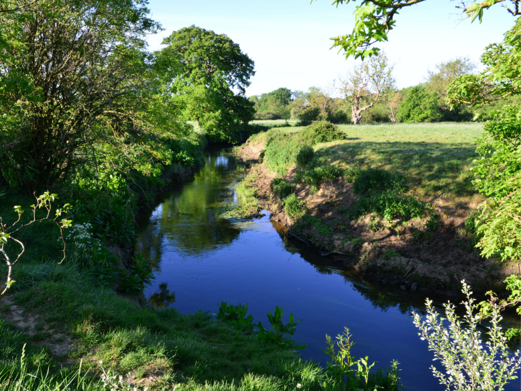 River Mole