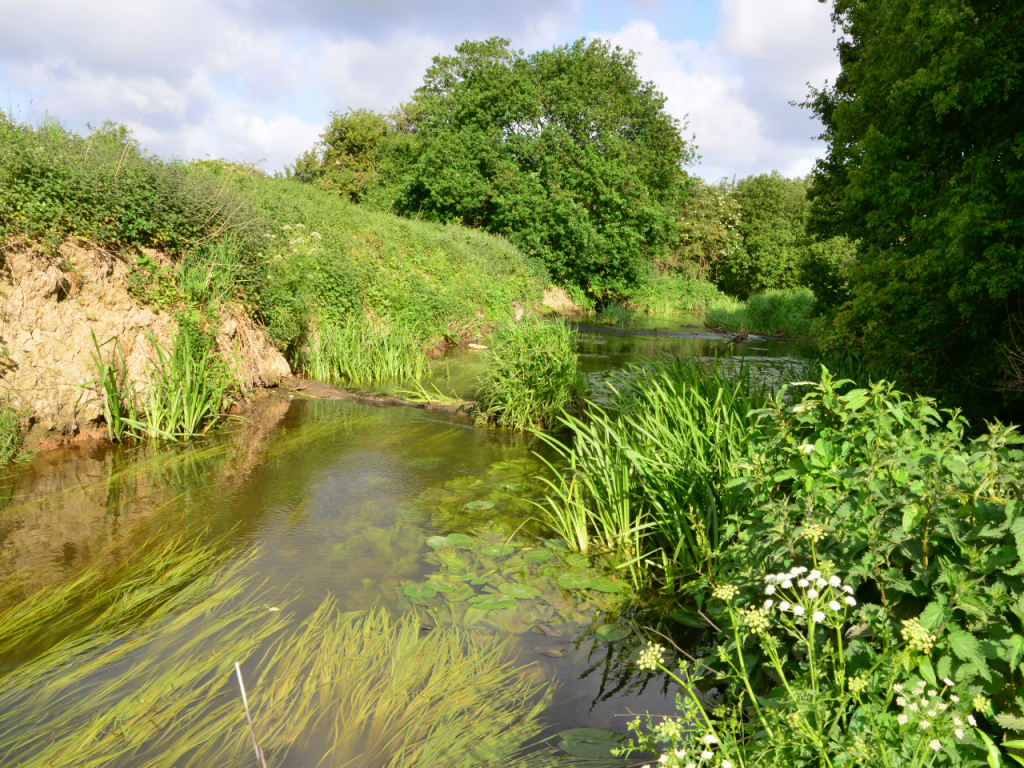 River Mole