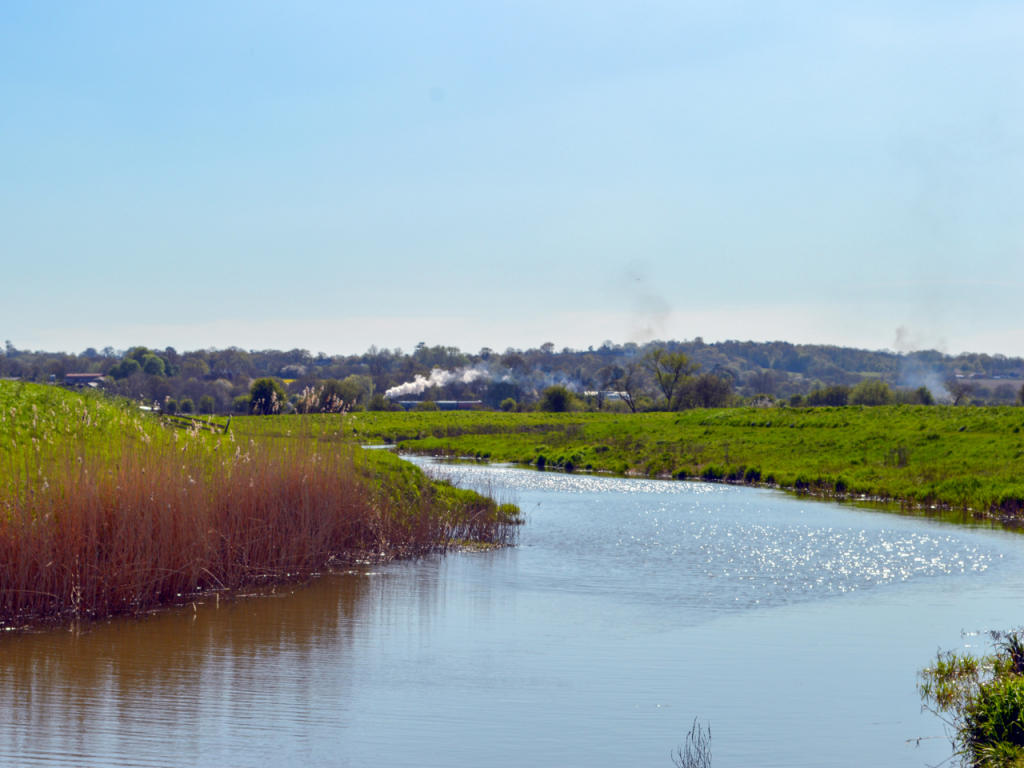 River Rother