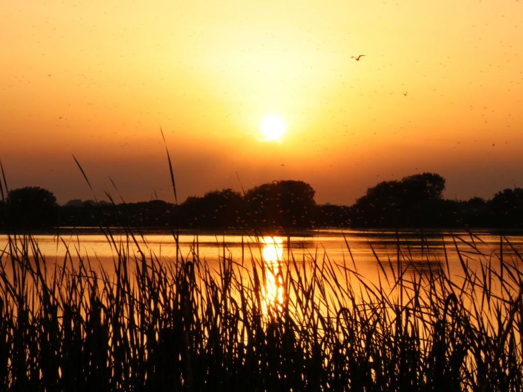 River Rother at sunset