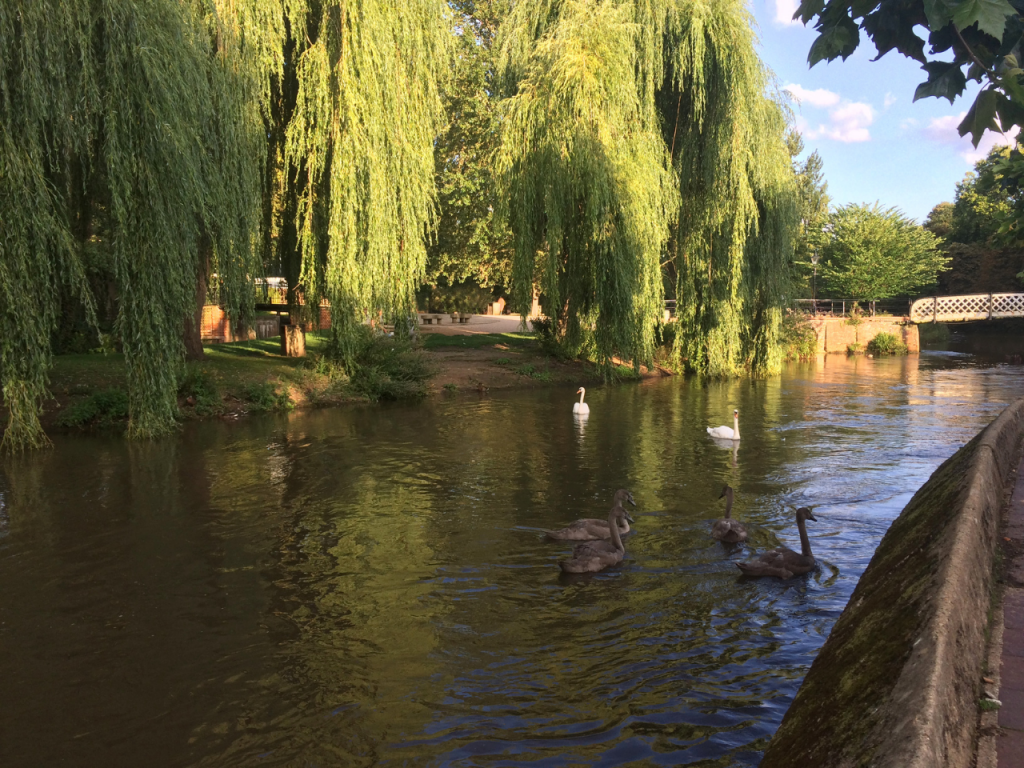 River Wey