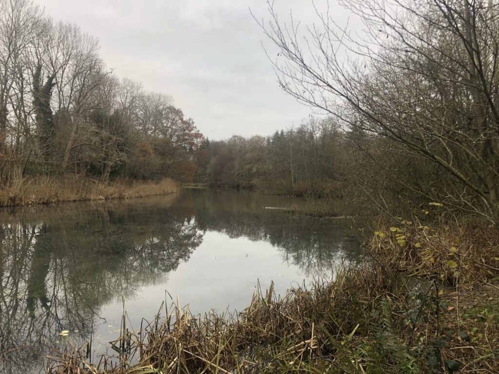 River Medway, rising in the High Weald