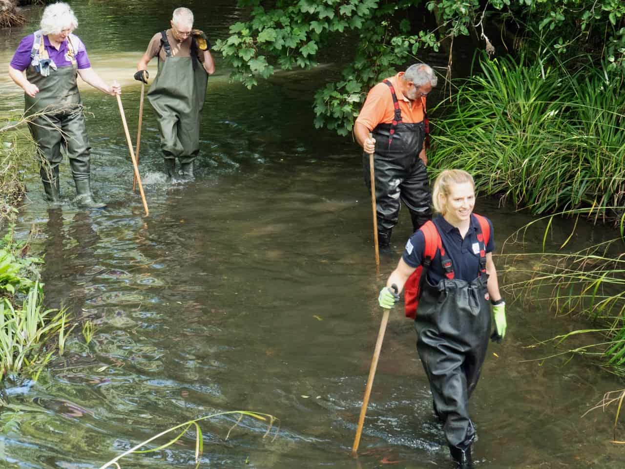 Wandle Discovery Day