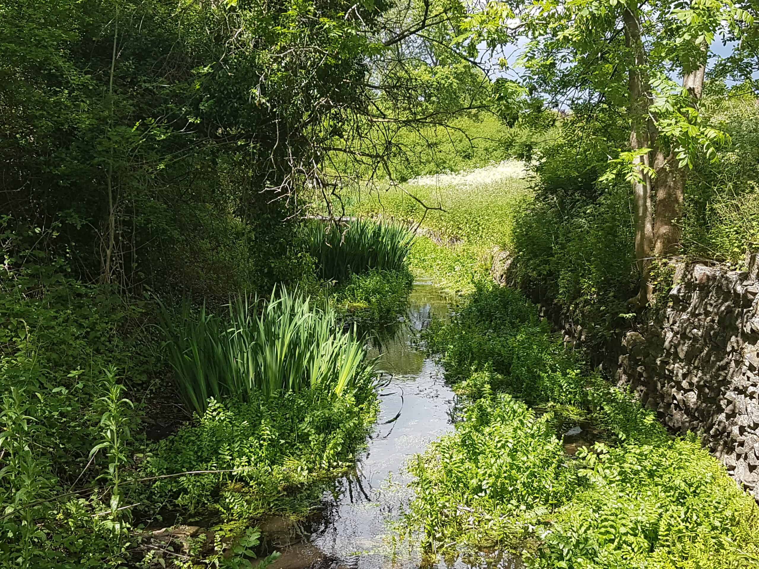 River Hogsmill