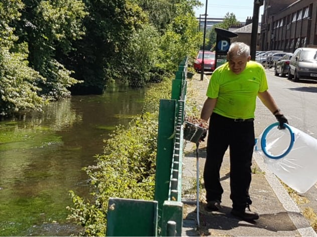 Sign up to be a River Guardian on River Medway