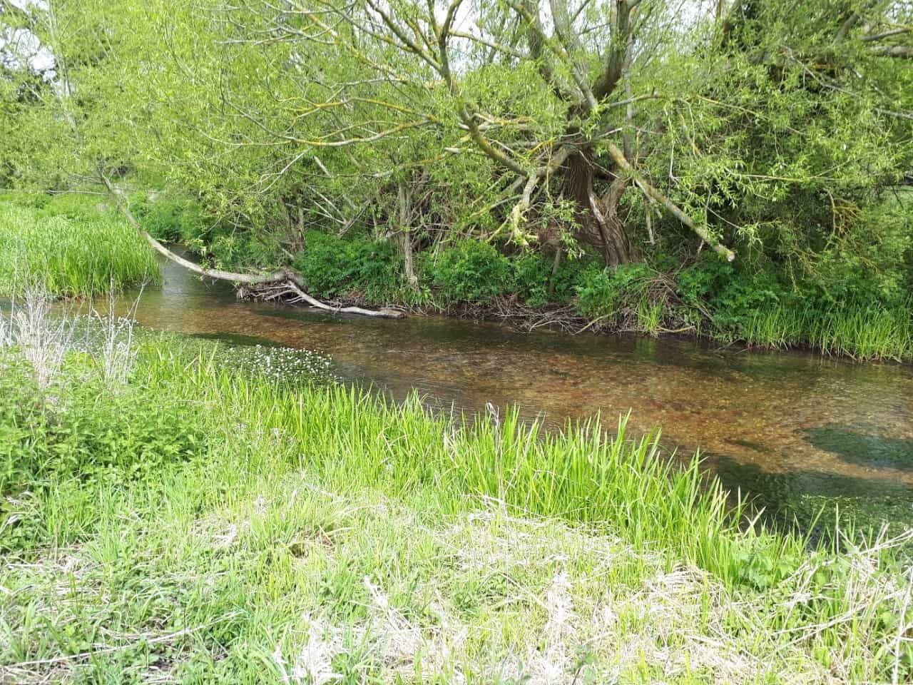 Help us identify all South East chalk streams