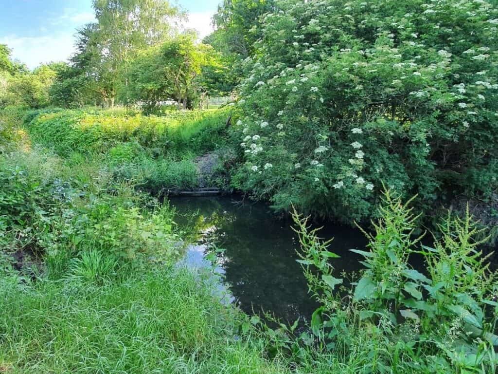 Elmbridge Meadows