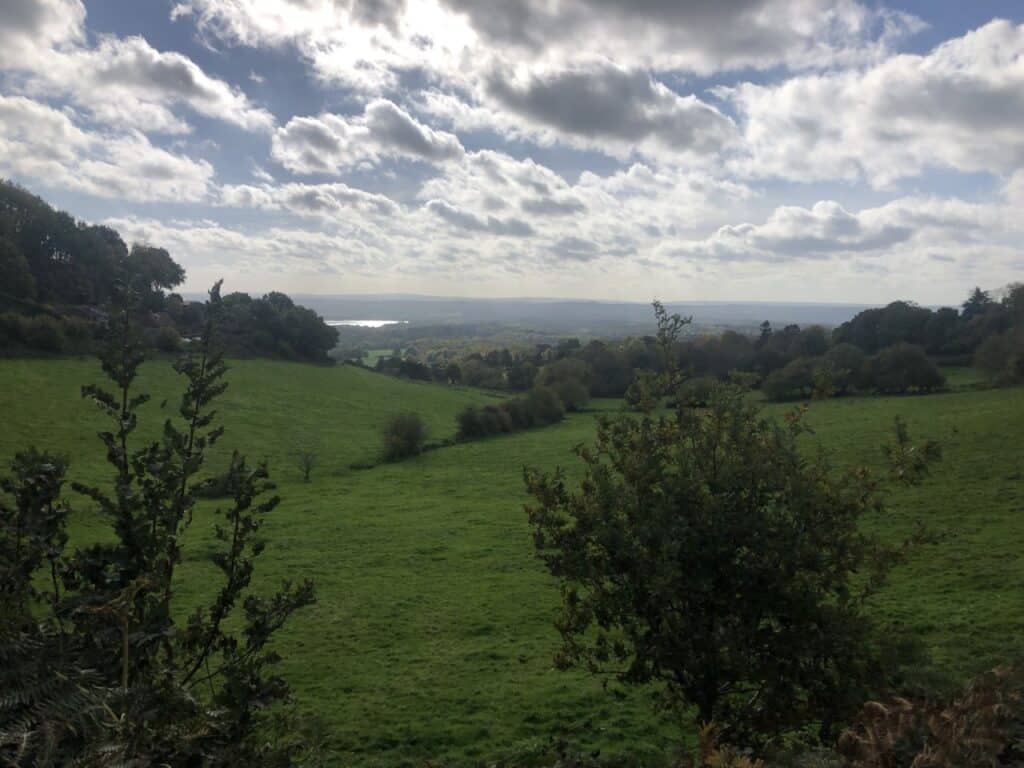 River Eden landscape