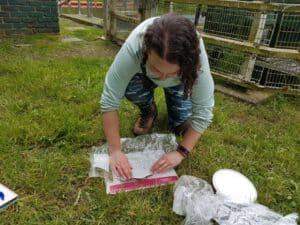 Eel monitoring happens along the route